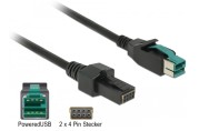 12V male - 2x4 pin male