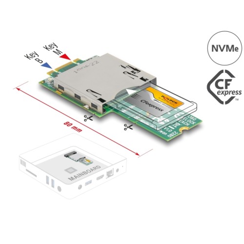 Delock Adapter M.2 Key B+M male to CFexpress Slot