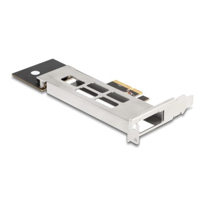Delock Mobile Rack PCI Express Card for 1 x M.2 NMVe SSD - Low Profile Form Factor 2