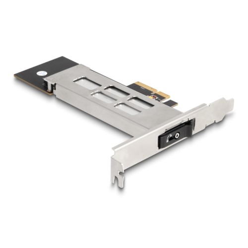 Delock Mobile Rack PCI Express Card for 1 x M.2 NVMe SSD - Low Profile Form Factor