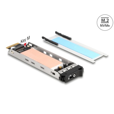 Delock Mobile Rack Inner Tray 1 x M.2 NVMe SSD for Mobile Rack 47028 / 47042 / 47070 / 47072 / 47111 / 47117 / 47126 / 47129