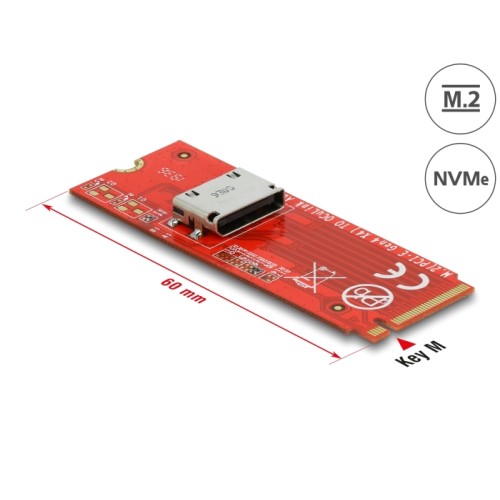 Delock M.2 Key M to 1 x OCuLink SFF-8612 Converter