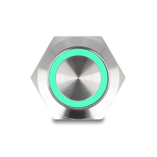 Delock Push Button for Installation 19 mm 4 x Screw Terminal LED green