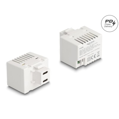Delock Keystone Module with 2 x USB Type-C™ Charging Port PD 20 W white