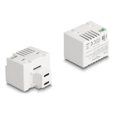 Delock Keystone Module with 2 x USB Type-C™ Charging Port PD 20 W white 2