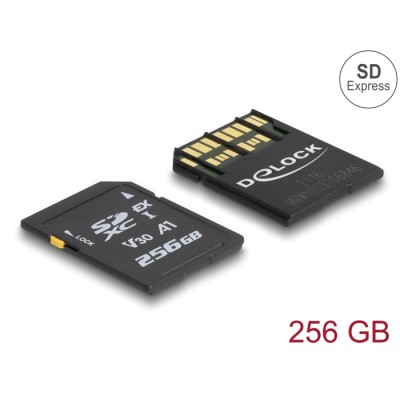 Delock SD Express memory card 256 GB