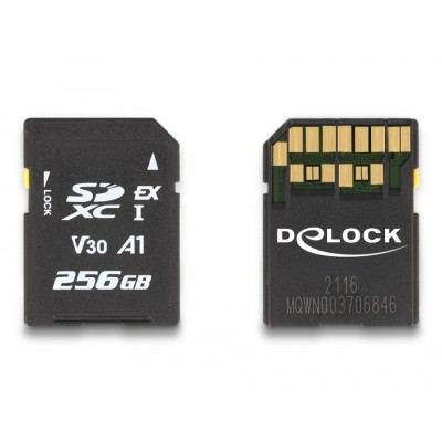 Delock SD Express memory card 256 GB 2