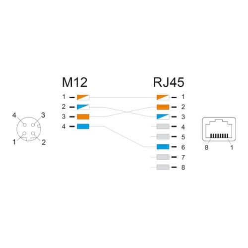 Delock M12 Adapter D-coded 4 pin female to RJ45 jack straight