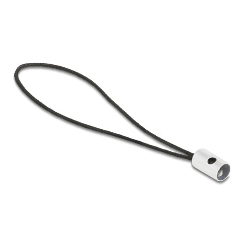 Delock Adapter USB 2.0 Type-C™ male zu Lightning™ female PD 3.0