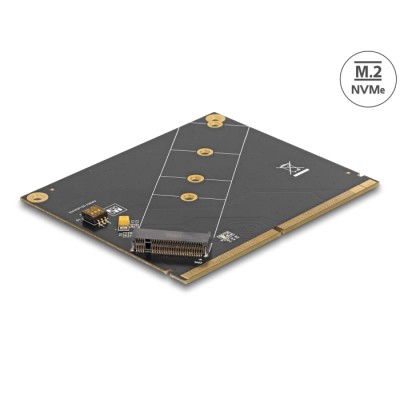 Delock Converter MXM to M.2 NVMe Key M slot