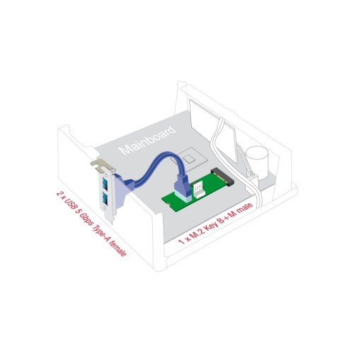 Delock Converter M.2 Key B+M male to 2 x USB 5 Gbps Type-A female with 50 cm cable
