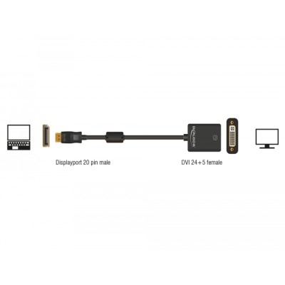 Delock Adapter DisplayPort 1.1 male  DVI female Passive black 2