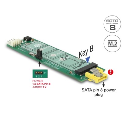 Delock Converter SATA pin 8 power receptacle > M.2 Key B slot