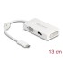 Delock Adapter USB Type-C™ male  VGA / HDMI / DVI female white