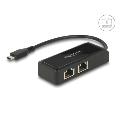 Delock USB Type-C™ Network Adapter Gigabit LAN 2 x RJ45