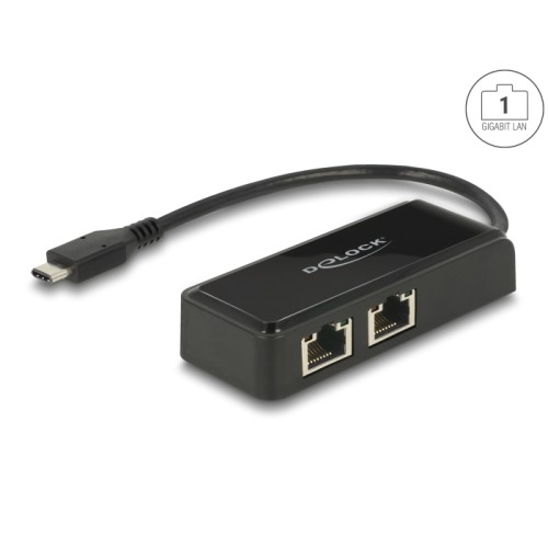 Delock Adapter SuperSpeed USB (USB 3.1 Gen 1) with USB Type-C™ male > 2 x Gigabit LAN 10/100/1000 Mbps