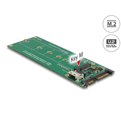 Delock U.2 SFF-8654 or SATA Converter to 1 x M.2 Key M slot