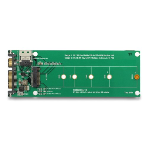 Delock U.2 SFF-8654 or SATA Converter to 1 x M.2 Key M slot