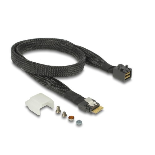 Delock U.2 SFF-8654 or SATA Converter to 1 x M.2 Key M slot