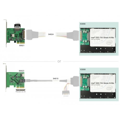 Delock Converter U.2 SFF-8639 to U.2 SFF-8639 with 3.5″ frame