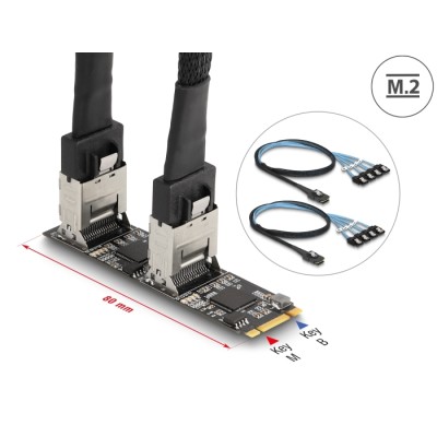 Delock Converter M.2 2280 Key B+M male to 8 x SATA