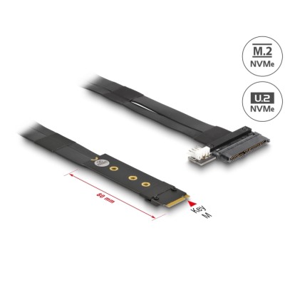 Delock M.2 Key M to U.2 SFF-8639 NVMe Adapter with 20 cm cable