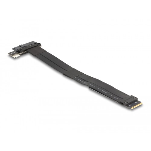 Delock M.2 Key M to U.2 SFF-8639 NVMe Adapter with 20 cm cable