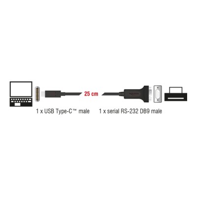 Delock Adapter USB Type-C™ to 1 x Serial RS-232 D-Sub 9 pin male with nuts 25 cm 2