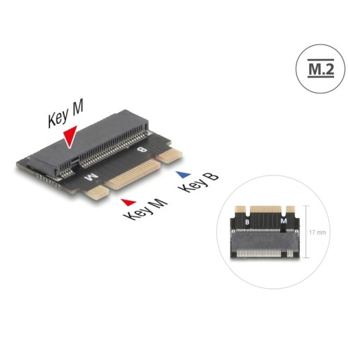 Delock Adapter M.2 Key B+M male to M.2 Key M slot - Extension