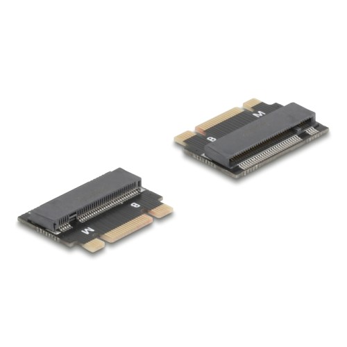 Delock Adapter M.2 Key B+M male to M.2 Key M slot - Extension