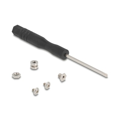 Delock Adapter M.2 Key A+E male to M.2 Key M slot 2