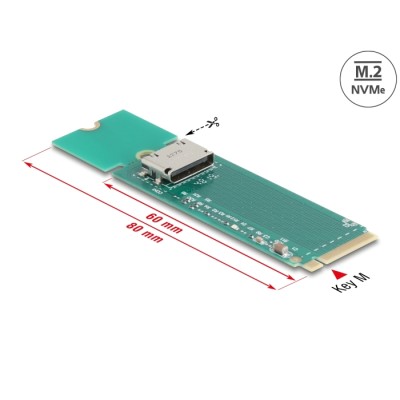 Delock M.2 Key M to 1 x OCuLink SFF-8612 Converter