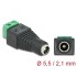 Delock Adapter DC 5.5 x 2.1 mm female > Terminal Block 2 pin
