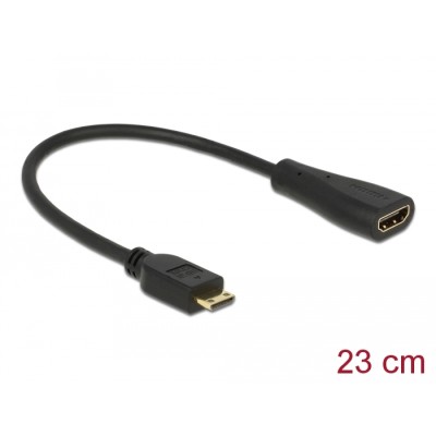 Delock Cable High Speed HDMI with Ethernet - mini C male > A female