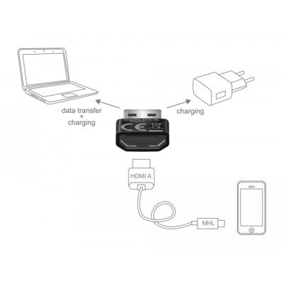Delock Adapter HDMI-A female  USB Type-A male black 2
