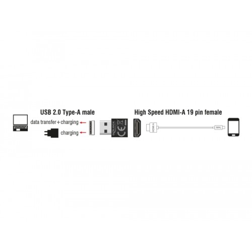 Delock Adapter HDMI-A female > USB Type-A male black