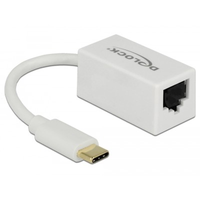 Delock Adapter SuperSpeed USB (USB 3.1 Gen 1) with USB Type-C™ male > Gigabit LAN 10/100/1000 Mbps compact white