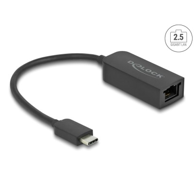 Delock USB Type-C™ Network Adapter 2.5 Gigabit LAN 1 x RJ45 compact