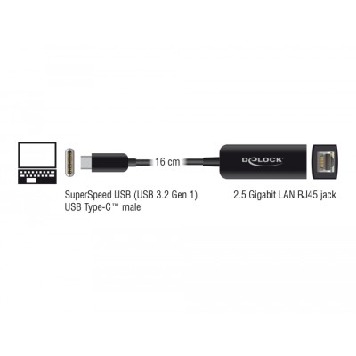 Delock USB Type-C™ Network Adapter 2.5 Gigabit LAN 1 x RJ45 compact 2