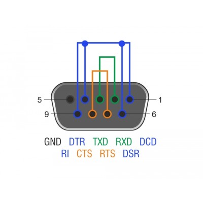 Delock RS-232/422/485 Loopback adapter with DB9 female 2