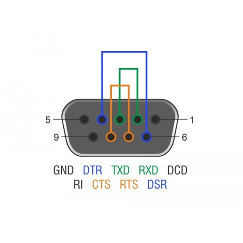 Delock RS-232/422/485 Loopback adapter with DB9 female