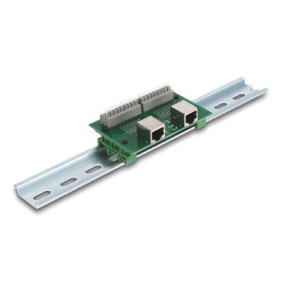 Delock RJ45 2 x female to 2 x Terminal Block with push-button for DIN rail