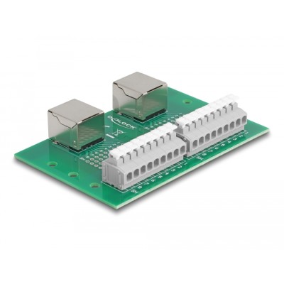 Delock RJ45 2 x female to 2 x Terminal Block with push-button for DIN rail 2