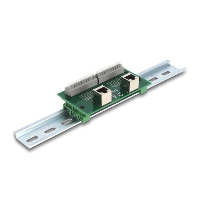 Delock RJ50 2 x female to 2 x Terminal Block with push-button for DIN rail angled