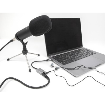 Delock External USB Sound Card with Type-C™ male to 2 x 3.5 mm Stereo jack Plug & Play Audio Adapter 2