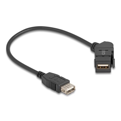Delock Keystone Module USB 2.0 Type-A panel mount female 45° angled to Type-A female with 30 cm cable black 2