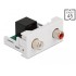 Delock Easy 45 Module 2 x RCA female to RJ45 female port 22.5 x 45 mm