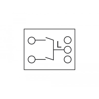 Delock Easy 45 2-gang Switch 1-pole 1-way 45 x 45 mm, white 2