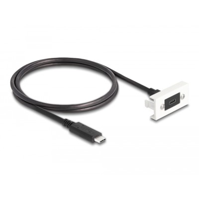 Delock Easy 45 Module SuperSpeed USB 10 Gbps (USB 3.2 Gen 2) USB Type-C™ female to USB Type-C™ male with pigtail, 22,5 x 45 mm 2