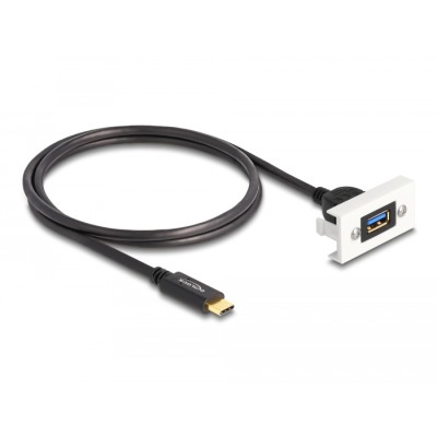 Delock Easy 45 Module SuperSpeed USB 10 Gbps (USB 3.2 Gen 2) USB Type-A female to USB Type-C™ male with pigtail, 22,5 x 45 mm 2
